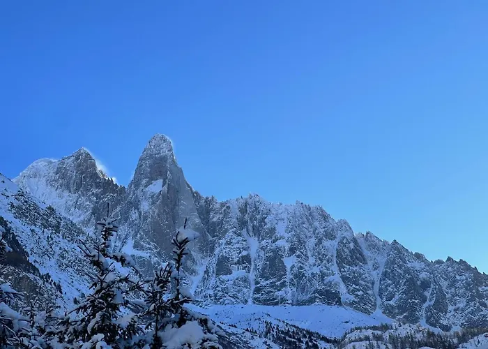 Chalet Asa 426 M2 Chamonix