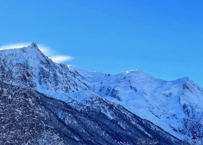 Chalet Asa 426 M2 Chamonix